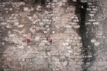 Dirty brick wall with peeling plaster, grunge background