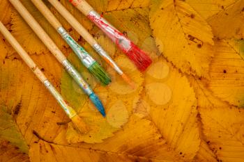 Five brushes for painting on colorful autumn leaves background. Top view, place for text. 