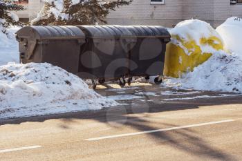 Row of trash bins in the street in the snow. City service of trash removal.