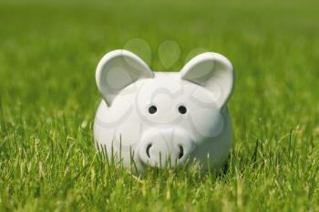 Piggy bank on a meadow of green grass. To put up money. Business concept.