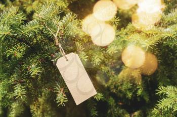 Empty price tag hanging on Christmas tree with nice bokeh