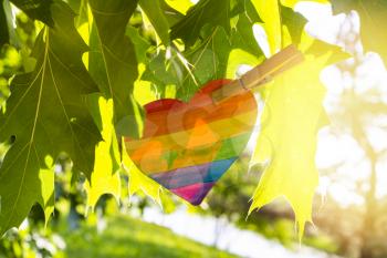 Heart painted like a LGBT flag pinned to a tree in the city park