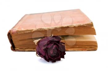Dry rose in the book