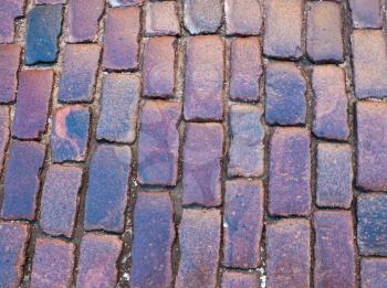 Violet walkway from cobble stones