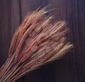 Wheat ears on the wooden background