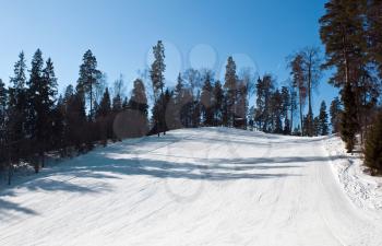 Skiing mountain in the forest
