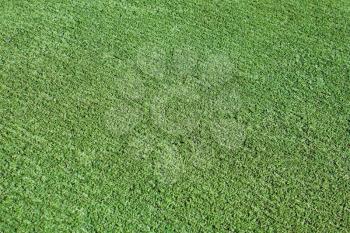 Pattern of decorative green football grass