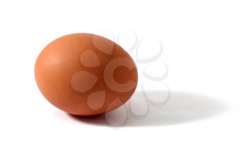 One brown egg isolated on white background