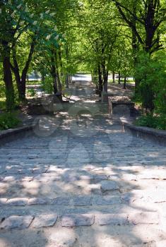Stone steps in the sunny park with trees