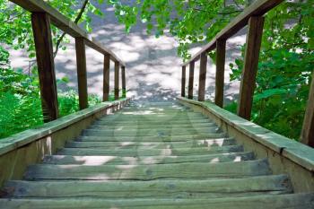 Wooden stairs in the summer forest