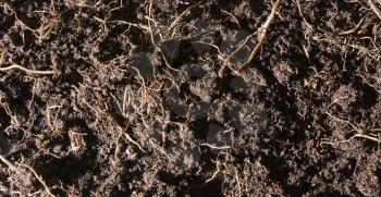 The close up of fertile soil -earth with backs