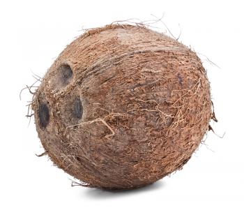 Whole fresh coconut isolated on  white background