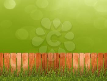 Green grass in garden with fence
