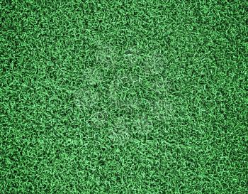 Football or soccer grass field