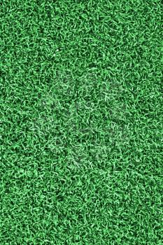 Grass on the soccer field