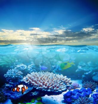 Beautiful sea underwater in sunlight