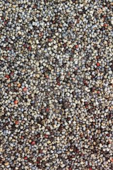 Dried poppry seeds macro background