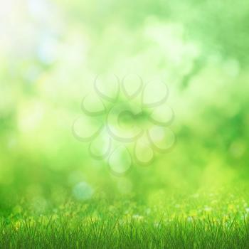 Green grass with sunny nature background