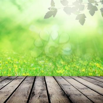 Sunny and growing nature background

