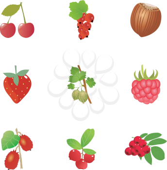Royalty Free Clipart Image of Berries