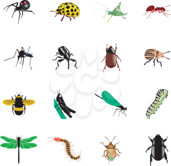 Royalty Free Clipart Image of  Insects