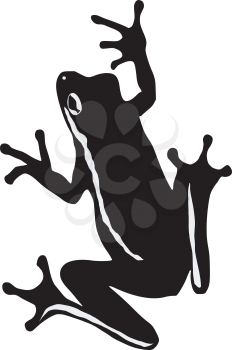 silhouette of tree frog