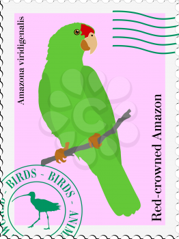 stamp with image of parrot