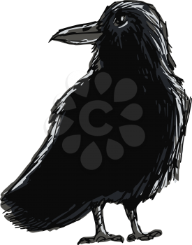Royalty Free Clipart Image of a Raven