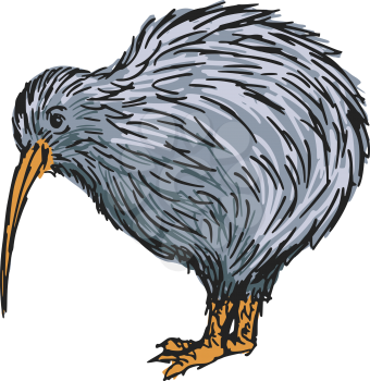 Royalty Free Clipart Image of a Kiwi Bird