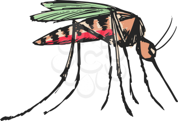 hand drawn, sketch, cartoon illustration of mosquito