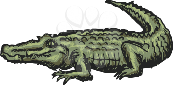 hand drawn, sketch, cartoon illustration of crocodile
