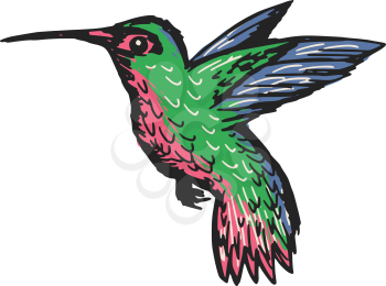 sketch, doodle, hand drawn illustration of hummingbird