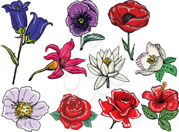 set of hand draw, sketch illustrations of flowers