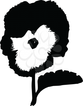 black silhouette of pansy