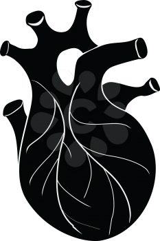 silhouette of human heart