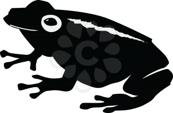 silhouette of frog