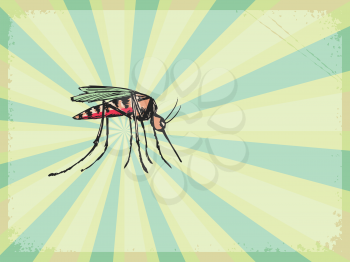 vintage, grunge background with mosquito