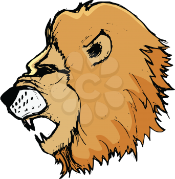 lion, illustration of wildlife, zoo, animal of savannah, predator, Africa, safari