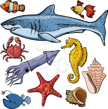 set of sea animals with shark, crab, squid