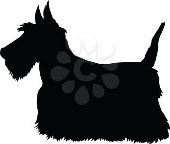 silhouette of scottish terrier