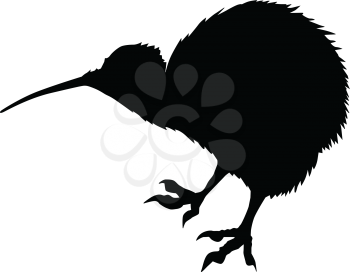 silhouette of kiwi bird