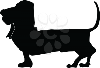 silhouette of basset hound