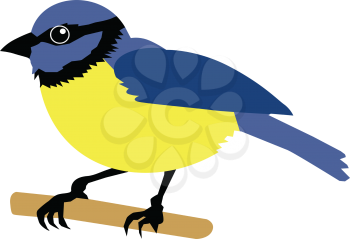 vector illustration of tit bird
