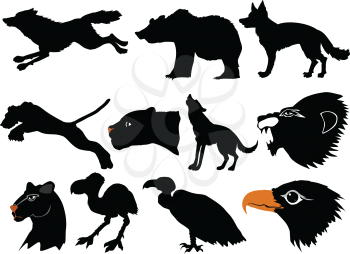 set of vector illustrations of predators