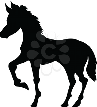 silhouette of foal, side view