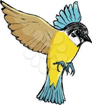 vector, coloured, sketch, hand drawn image of tit bird