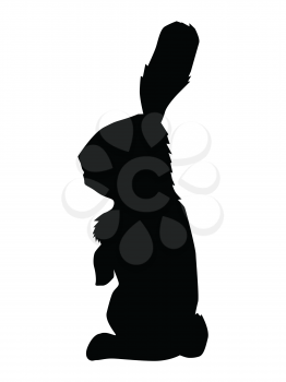 silhouette of rabbit, wildlife motive
