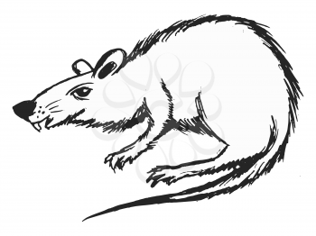 Vector, sketch illustration of toothy rat. Motives of wildlife, pests, horror