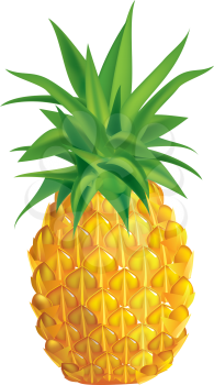 Royalty Free Clipart Image of a Pineapple