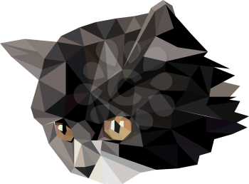 Vector illustration of low poly cat icon. Geometric polygonal cat silhouette. Low poly kitten